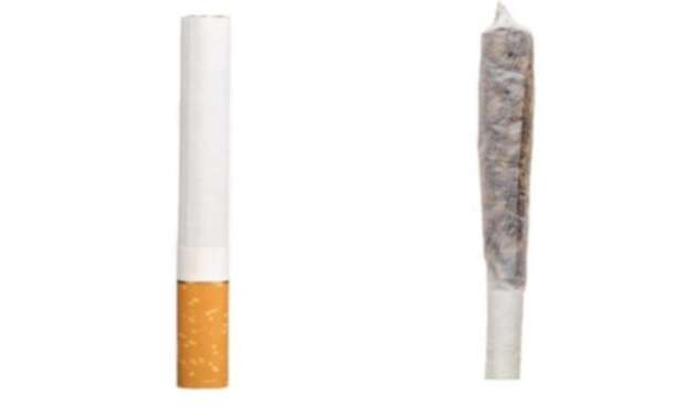 El consumo del cannabis es superior al del tabaco.