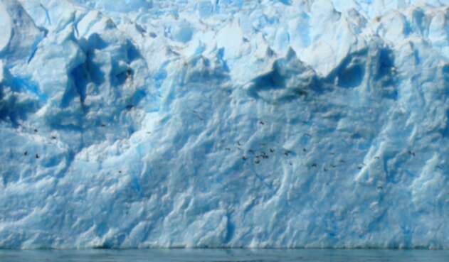 El cambio climático ha terminado este patrimonio ambiental.