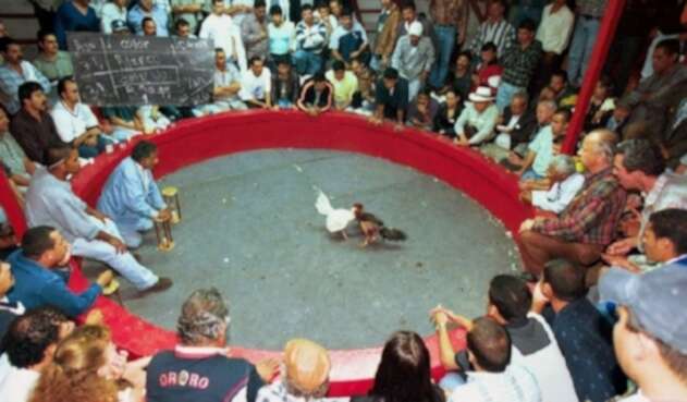 Peleas de gallos