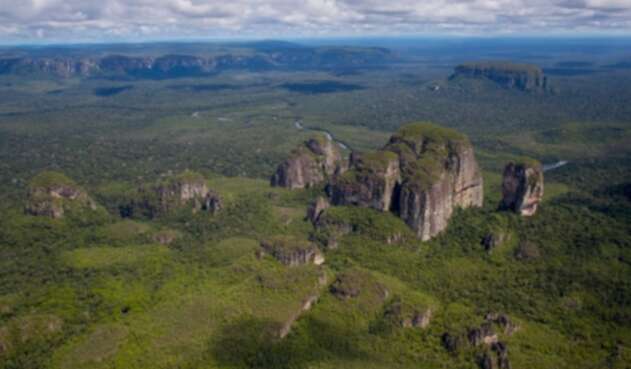 La Corte Suprema de Justicia declaró a la Amazonía como "sujeto de derechos". Amazonia Colombiana