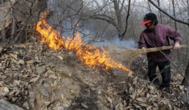 Incendio forestal en China Incendio forestal en China