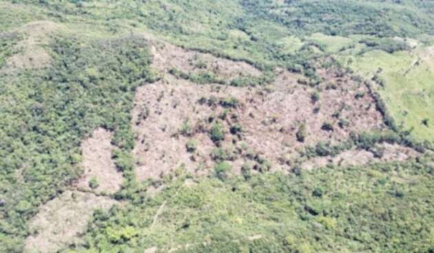 Amazonía Manifestó se necesitan todas las autoridades ambientales para acabar con la deforestación
