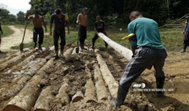 Guerrilleros de las Farc Guerrilleros de las Farc