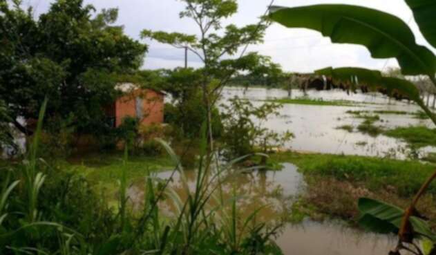 Por el desbordamiento del río Chigorodó, varias familias perdieron sus cultivos y enseres.