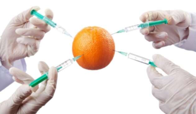 Inyección de nutrientes de frutas Inyección de nutrientes de frutas