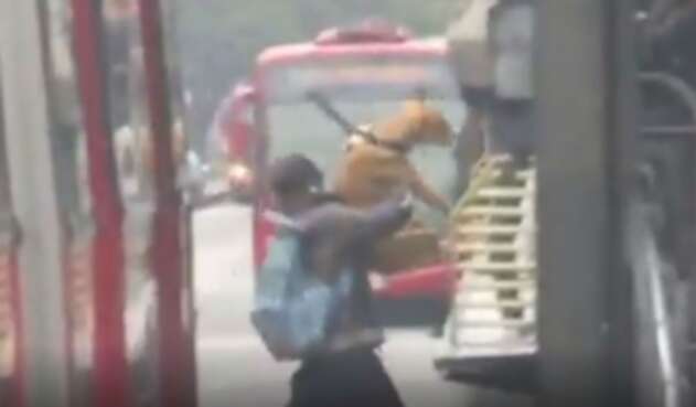 Perro colándose en Transmilenio Perro colándose en Transmilenio