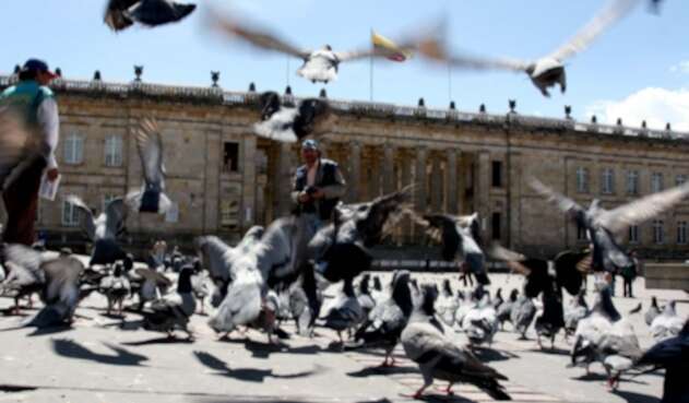 Plaza de Bolívar