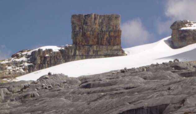 Nieve