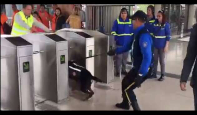Equipo canino de Transmilenio
