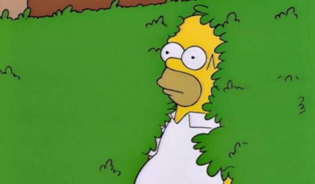 Homero Simpson