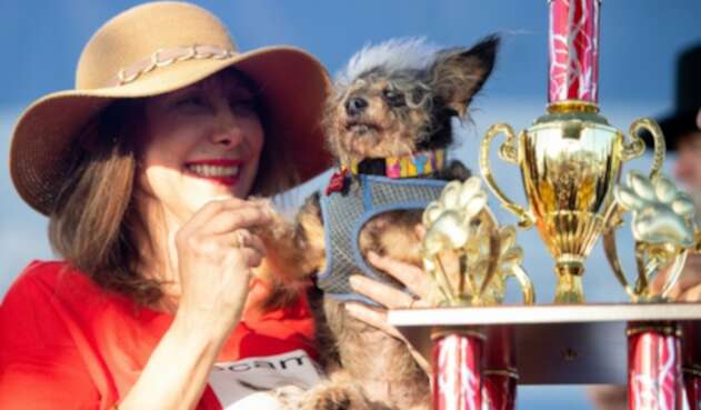 Feria de Sonoma