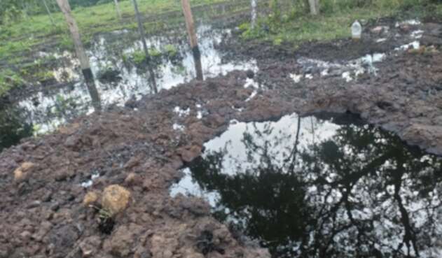 Atentado Caño Limón Coveñas
