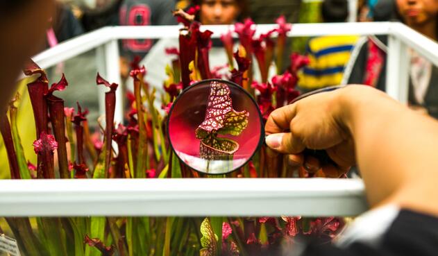 Visitantes en el Jardín Botánico de Bogotá