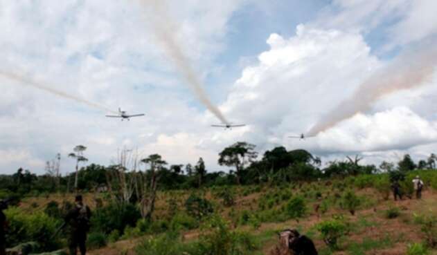 La fumigación de cultivos ilícitos con glifosato en Nariño