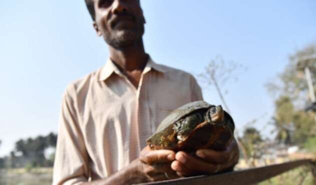 India