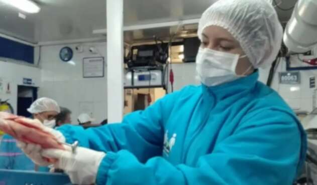 Manejo de alimentos en Bogotá / Referencial