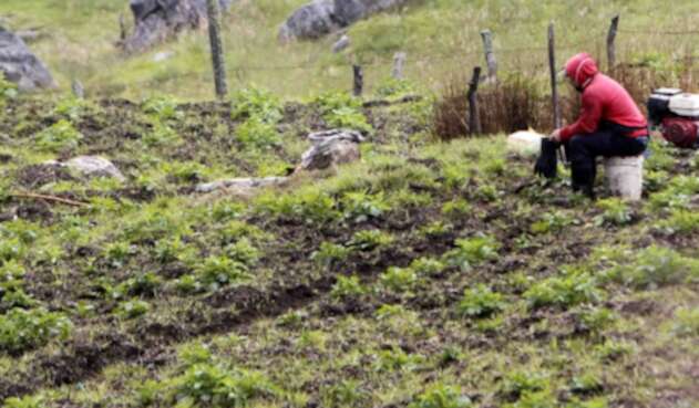 Campesinos. Imagen de referencia. ‘Campo Emprende’ es el plan del Gobierno para impulsar el crecimiento económico y la transformación en las zons rurales.