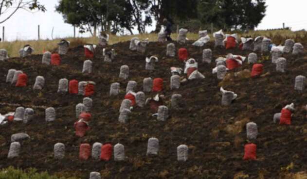 CAMPO COLOMBIANO/AGRICULTURA EN COLOMBIA/CAMPESINOS