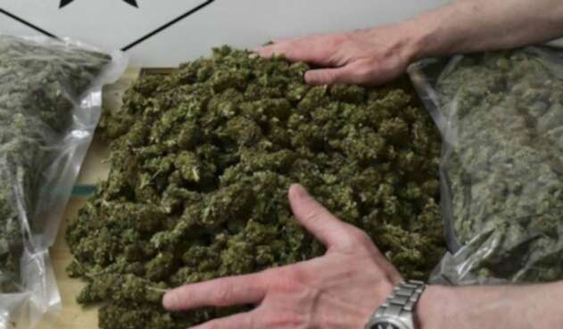 Cannabis