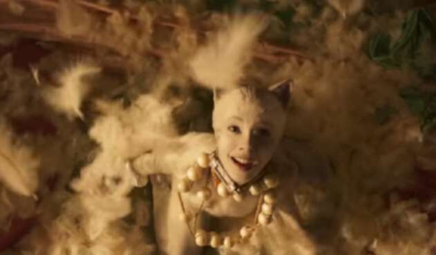 Cats