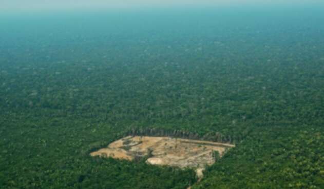 Deforestación en la Amazonía brasileña