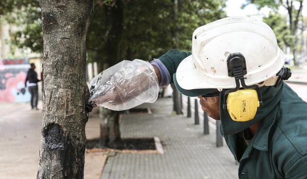 Afectación ambiental