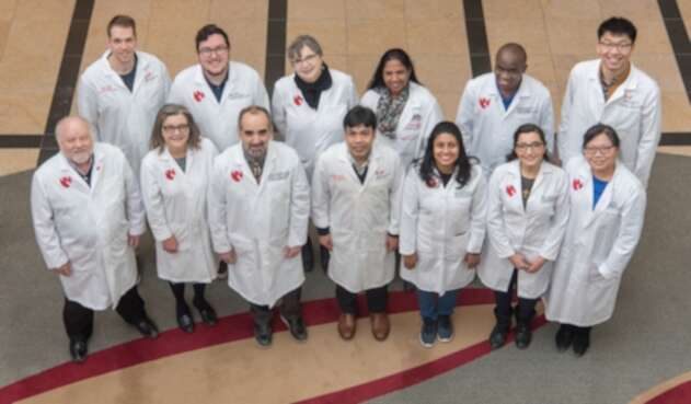 Los investigadores, de arriba a abajo e izquierda a derecha: James Hilaire, Brady Sillman, Ph.D., Larisa Poluektova, M.D., Ph.D., Santhi Gorantla, Ph.D., Benson Edagwa, Ph.D., y Hang Su. Abajo: R. Lee Mosley, Ph.D., JoEllyn McMillan, Ph.D., Howard Gendelman, M.D., Prasanta Dash, Ph.D., Saumi Mathews, Ph.D., Mary Banoub y Zhiyi Lin.