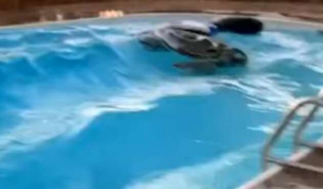 El terremoto en California, desde una piscina