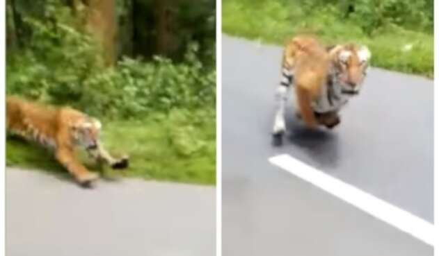 Reserva de wayanad-India