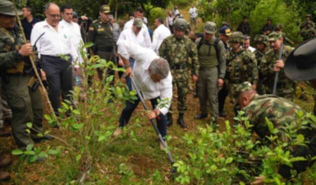 Duque erradicando cultivos ilícitos Duque erradicando cultivos ilícitos