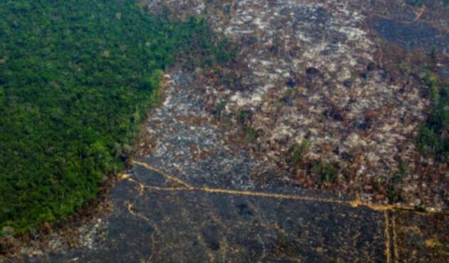 Incendios en la Amazonía