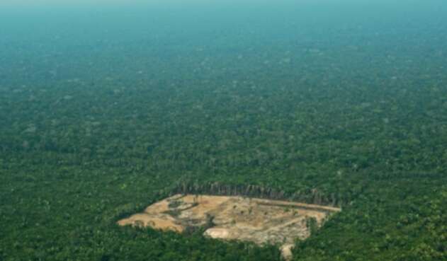 Deforestación en la Amazonia Deforestación en la Amazonia