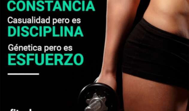 Imagen de la aplicación Fitpal