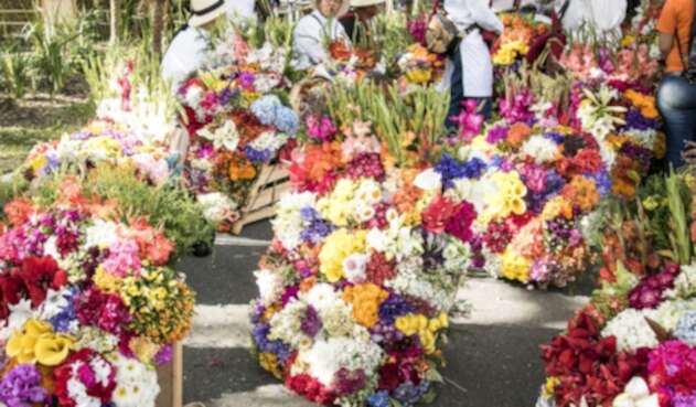 Feria de las Flores Feria de las Flores