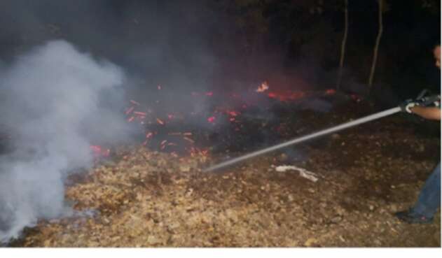 Siete indencios forestales fueron apagados en Cundinamarca