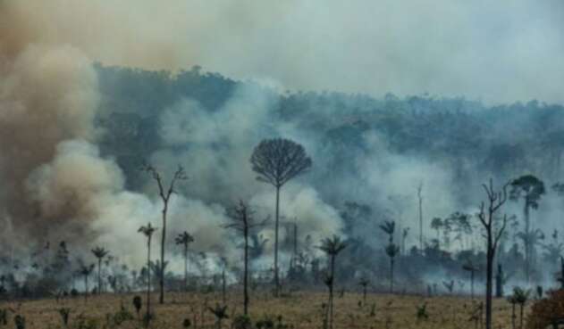 Incendio Forestal en la amazonia brasileña