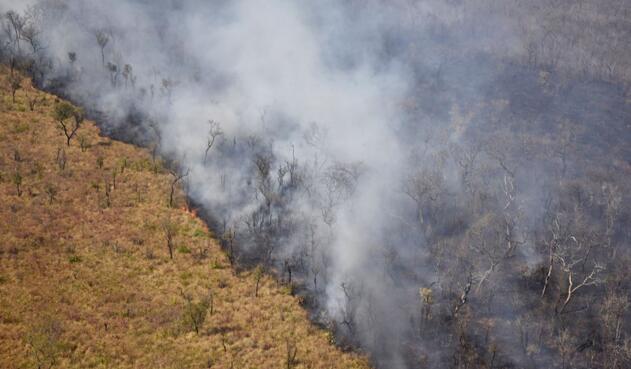 Incendio en la Amazonia