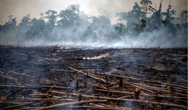 Incendio en la Amazonia, que comparten varios países.