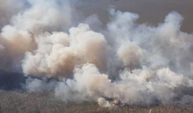 incendio forestal incendio forestal