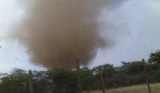 el tornado se llevó todo lo que vio a su paso