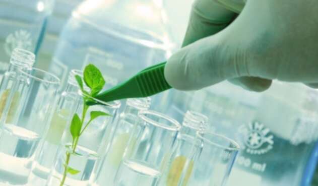 Laboratorio tecnología