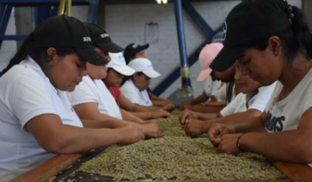 Tecnicafé, Parque Tecnológico del Café