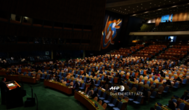 Asamblea General de la ONU
