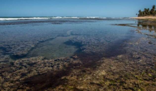 Playa Brasil con petroleo