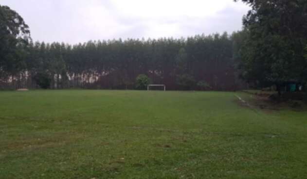 Cancha