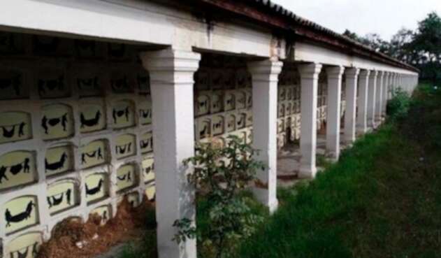 Los dibujos de la artista Beatriz González en inmediaciones del Cementerio Central, en Bogotá