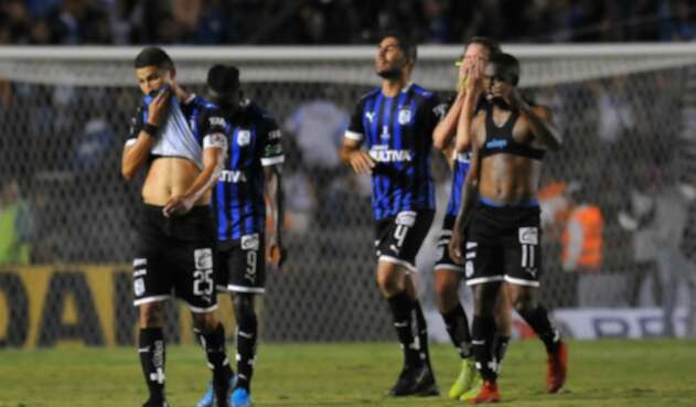 Gallos blancos de Querétaro