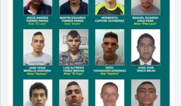 Los más buscados