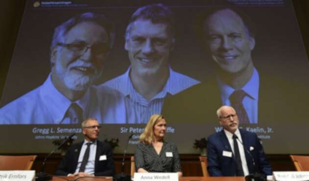 Ganadores del Nobel de Medicina 2019