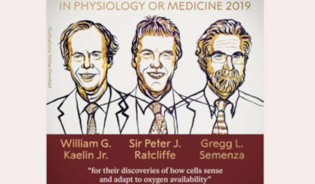 William G. Kaelin, Peter J. Ratcliffe y Gregg L. Semenza, ganadores del Premio Nobel de Medicina 2019